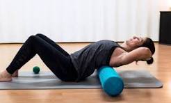 Hobart Chiropractic Foam Roller